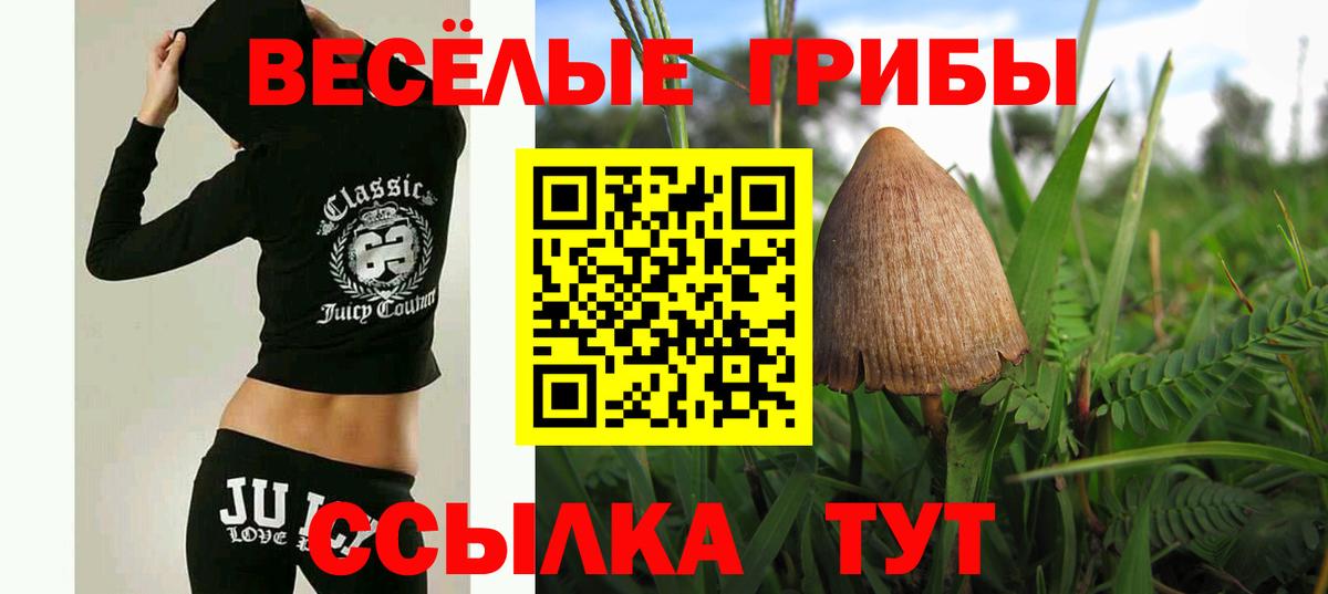 Белореченск  Галлюциногенные грибы прущие грибы  Вход с VPN 